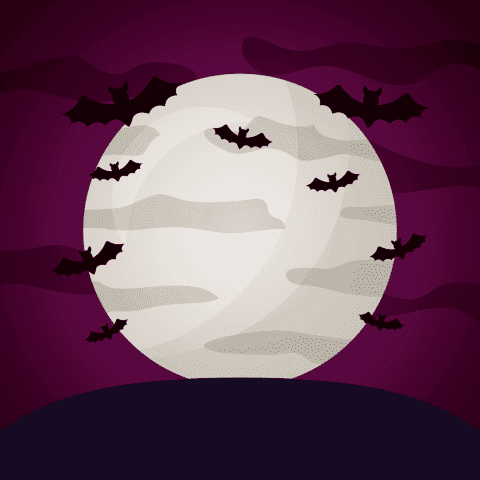 Why the bat comes out only at night