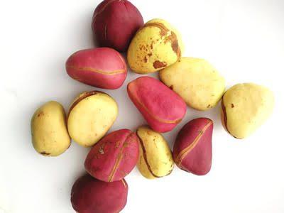 African kola nuts