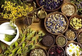 Importance of African Traditional Medicines