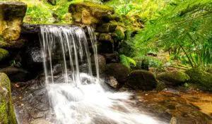 However far the stream flows, it never forgets its source - African proverbs