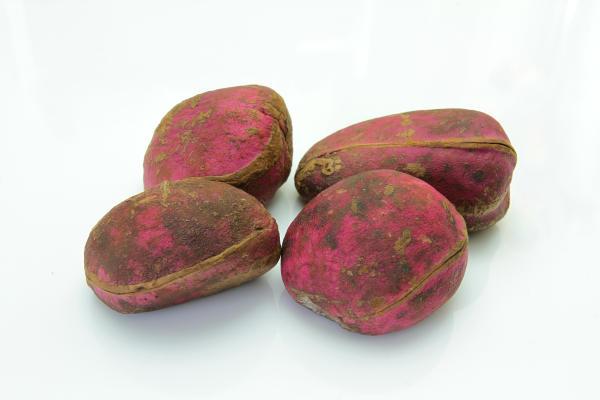 The Health Benefits of Kola nut