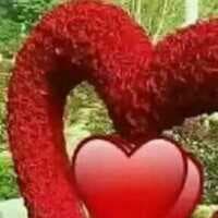 profile photo of peter311 