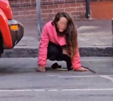 featured image for Woman in San Francisco Seen Defecating in Public in Broad Daylight