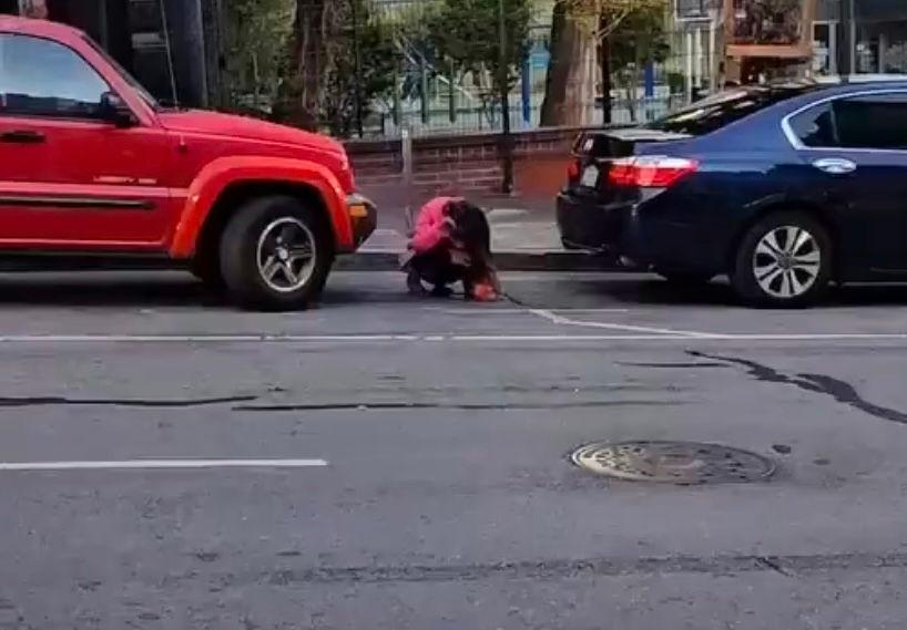 Woman seen defecating on street in San Francisco