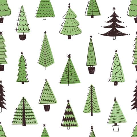 What you do not know about the Christmas tree